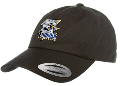 STT Dad Slouch Cap