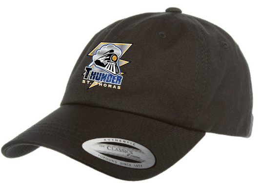 STT Dad Slouch Cap